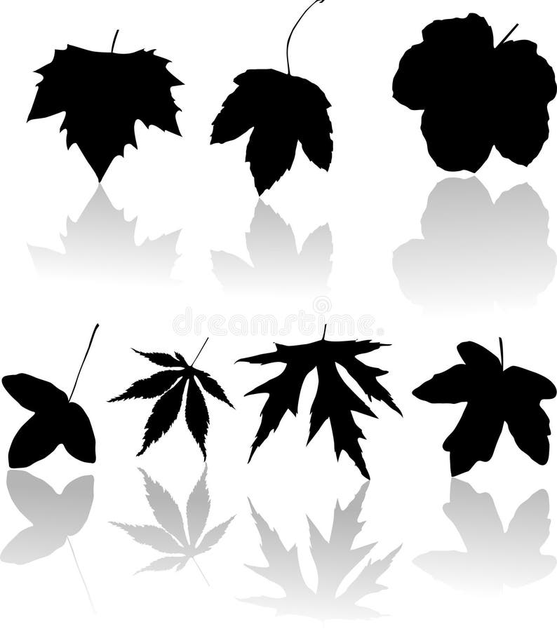 Silhouettes of leaves