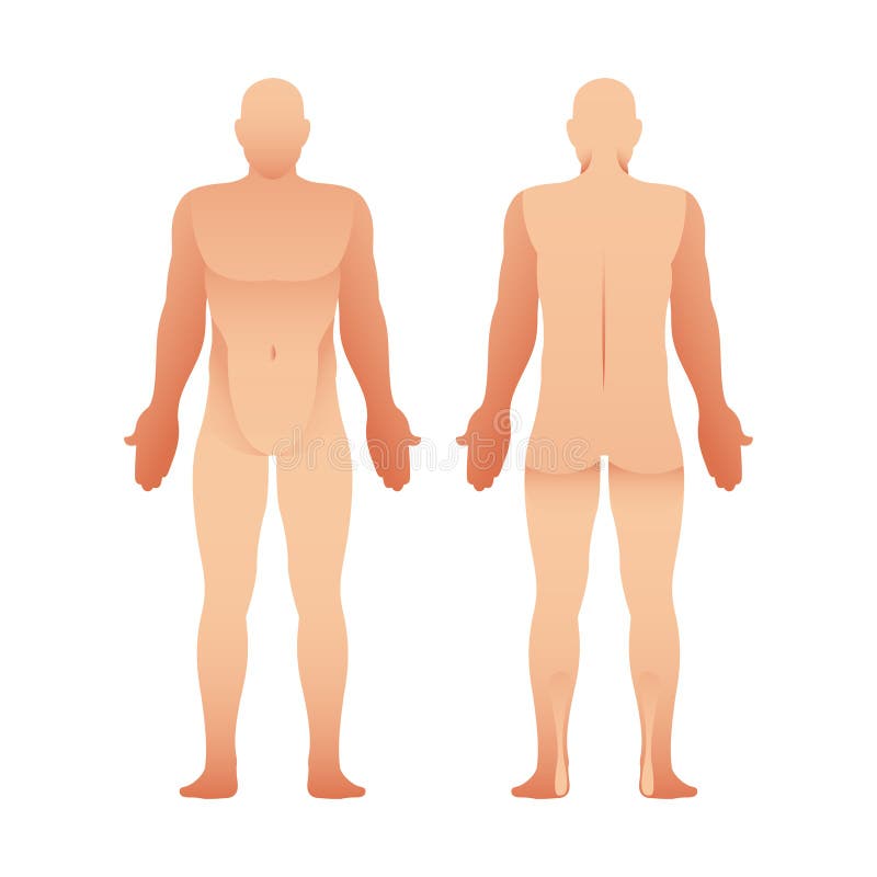 Male Human Body Outline Front Back Stock Illustrations 275 Male Human Body Outline Front Back Stock Illustrations Vectors Clipart Dreamstime Premium stock photo of male body outline. dreamstime com