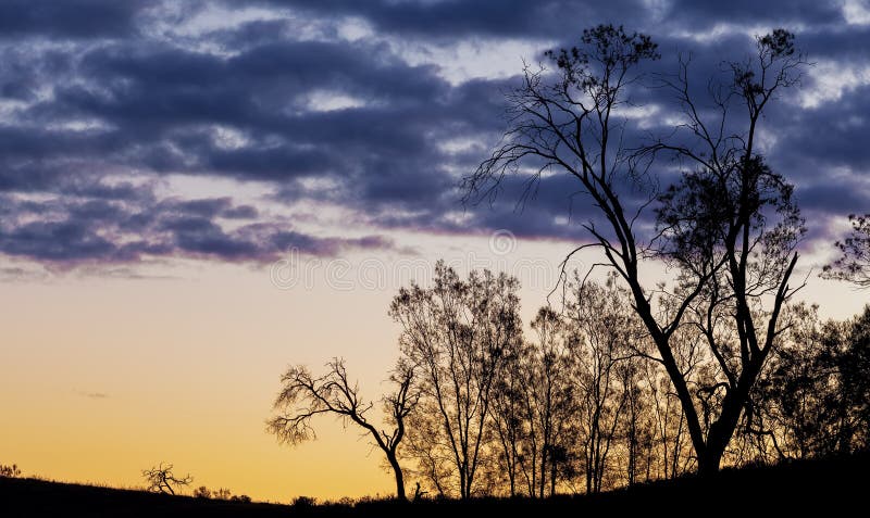 Silhouettes nues d'arbres au coucher du soleil images stock Silhouettes nues d'arbres au coucher du soleil images stock