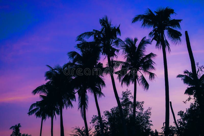 purple palm trees wallpaper