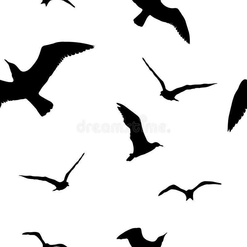 Flying Seagull Bird Black Silhouette Isolated On White Background