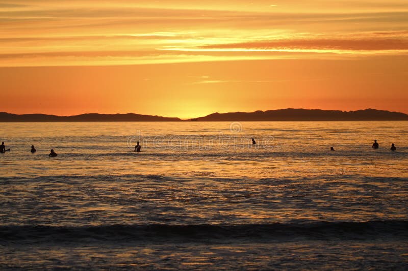 Silhouettes of surfers during sunset