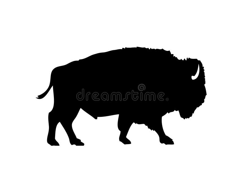 Vector illustration of american native bison, commonly named after bull or buffalo, as silhouette. Vector illustration of american native bison, commonly named after bull or buffalo, as silhouette