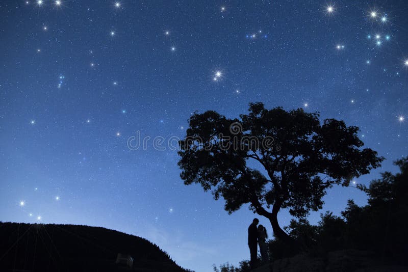 Silhouettieren Sie Paare unter einem Baum und dem Genießen des sternenklaren Himmels im Nachtkap lizenzfreie stockfotos Silhouettieren Sie Paare unter einem Baum und dem Genießen des sternenklaren Himmels im Nachtkap lizenzfreie stockfotos