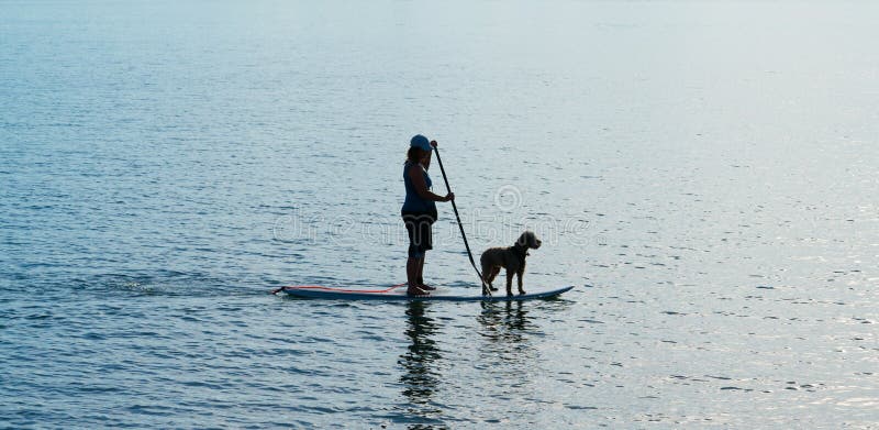 Silhouetvrouw en hond op standup paddleboard stock afbeeldingen Silhouetvrouw en hond op standup paddleboard stock afbeeldingen