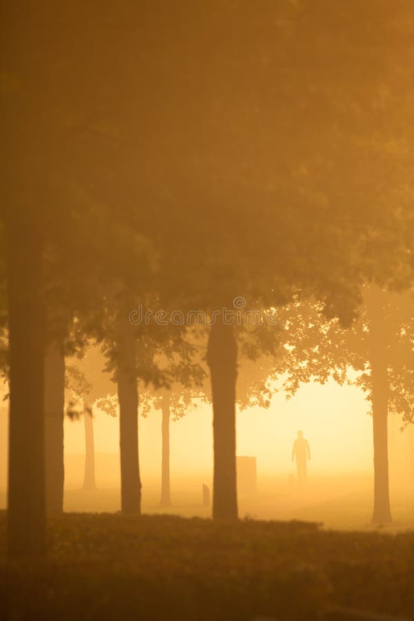Silhoutte de personne par matin brumeux image stock Silhoutte de personne par matin brumeux image stock