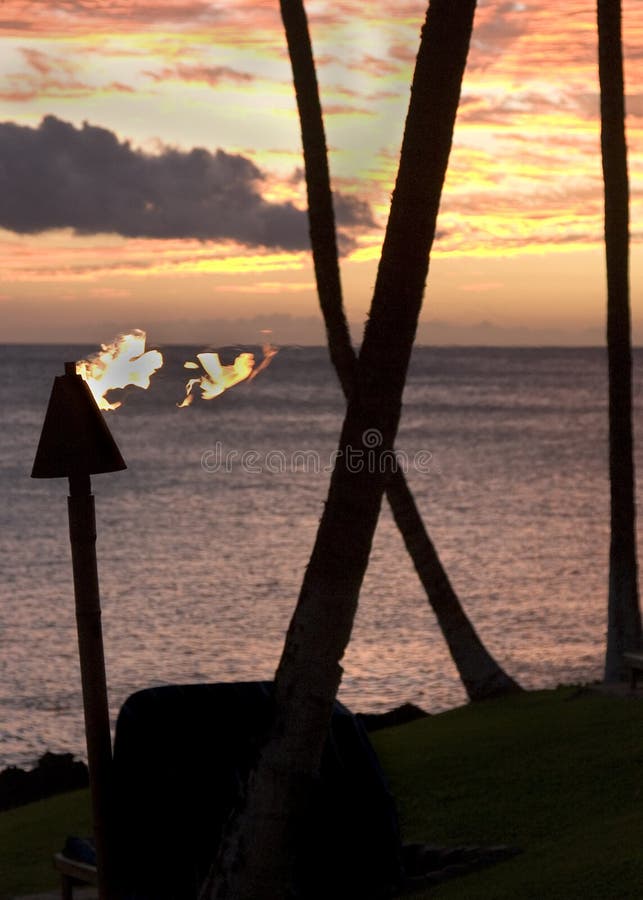 Silhoutte of torch in hawaii