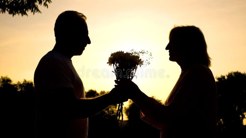 Silhueta da reunião feliz dos pares no por do sol, marido que apresenta flores na data imagens de stock royalty free Silhueta da reunião feliz dos pares no por do sol, marido que apresenta flores na data imagens de stock royalty free