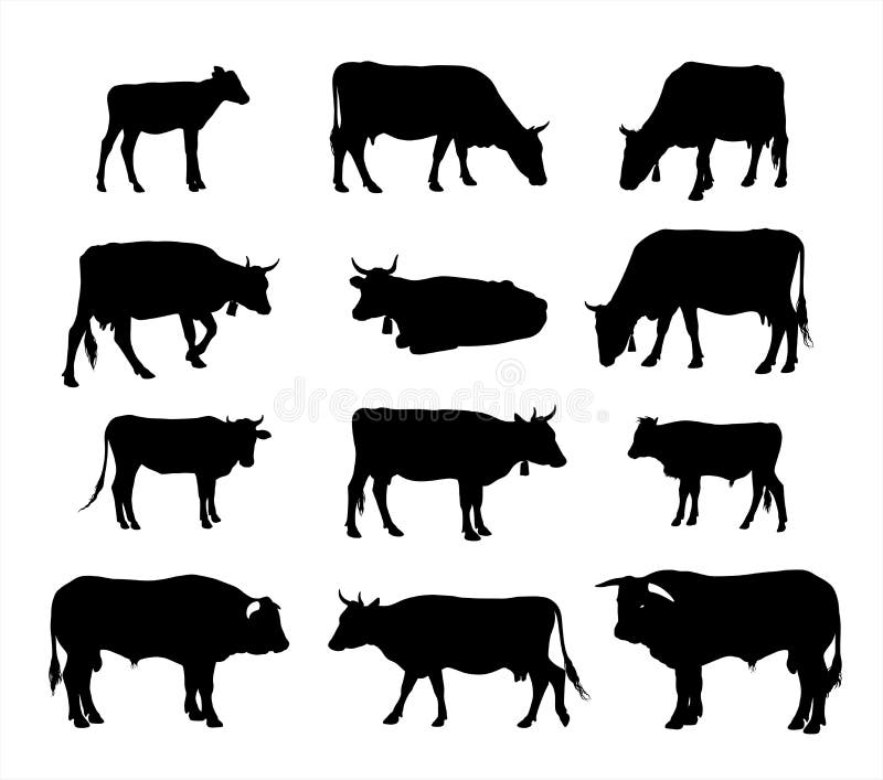 Featured image of post Silhueta Vetor Vaca Vaca silhouette vector icon black angus ilustra o vetorial