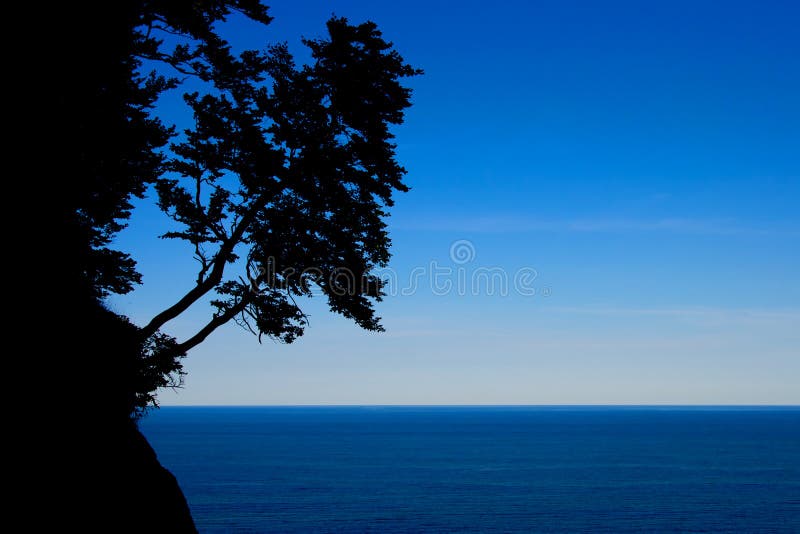 Silhueta da árvore fotos de stock royalty free Silhueta da árvore fotos de stock royalty free
