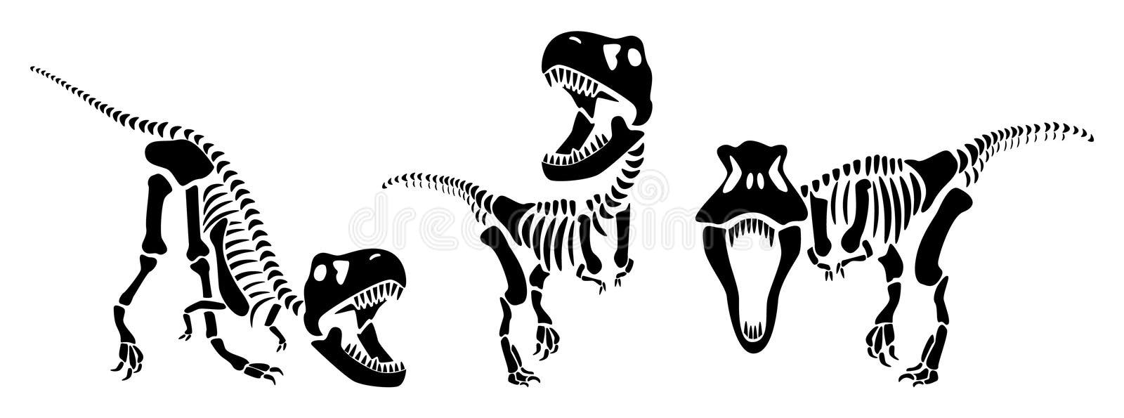 esqueleto de vetor de tiranossauro rex t-rex em fundo isolado. crânio e  pescoço. 2680869 Vetor no Vecteezy