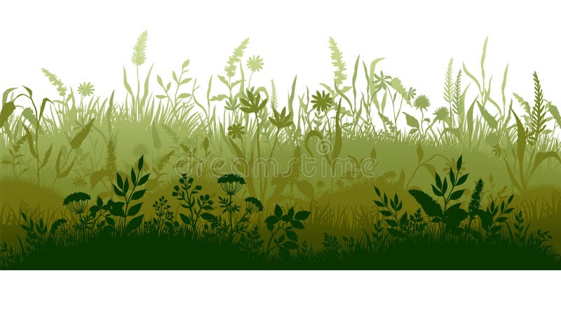 Silhueta de grama Placas de pântanos e pântanos com ervas daninhas e plantas, prados de ondulação de desenho animado Paisagem com