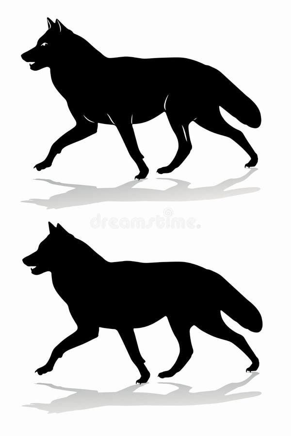 Vetor de desenho de lobo em fundo branco. ilustração em vetor em