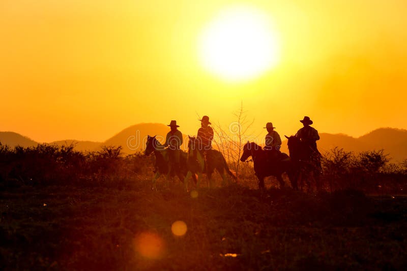 Orelhas Do Cavalo Na Frente De Uma Montanha Em Uma Tarde Do Por Do Sol  Imagem de Stock - Imagem de montanhas, elegante: 117089471