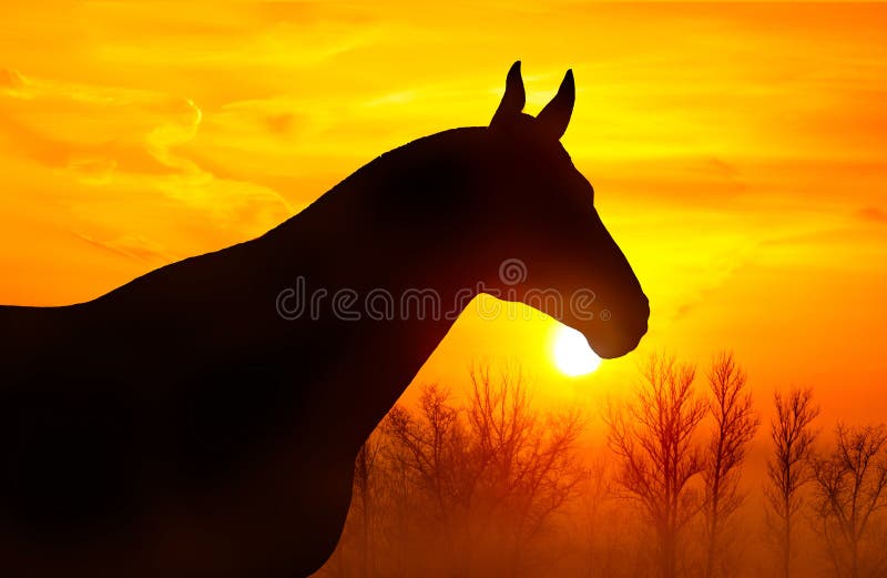 Estátua De Cavalo Em Frente a Um Céu Nublado Foto de Stock - Imagem de  animal, olho: 221252936