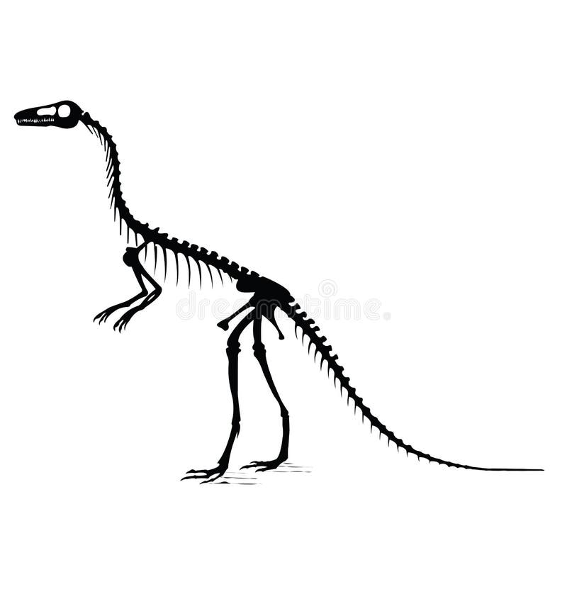 Contorno De Dinossauro Com Inscrições No Interior. Silhuetas De Dinossauro  Definidas Ilustração do Vetor - Ilustração de jogo, dinossauro: 260546570