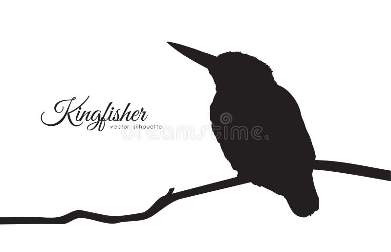 Silhueta do martinho pescatore que senta-se em um ramo ilustração royalty free Silhueta do martinho pescatore que senta-se em um ramo ilustração royalty free