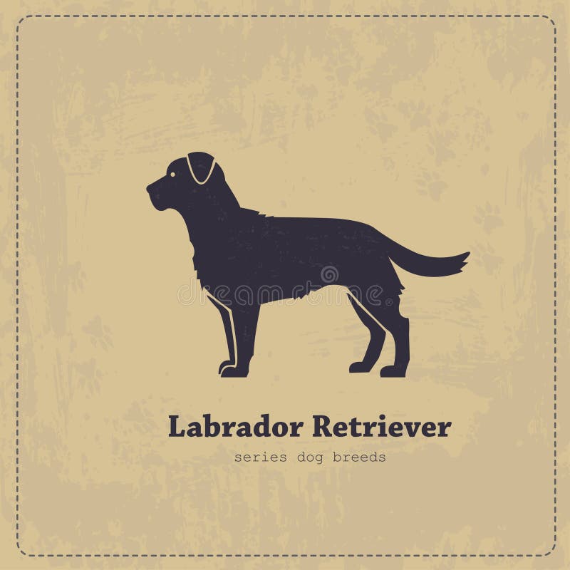 Silhueta estilizada vetorial de um Labrador retriever ilustração do vetor