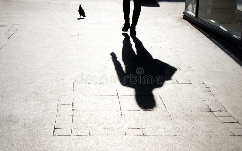 Silhueta obscura da sombra de uma pessoa e de um pombo