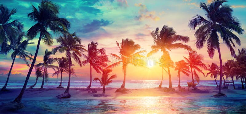 Silhuetas das palmeiras na praia tropical no por do sol