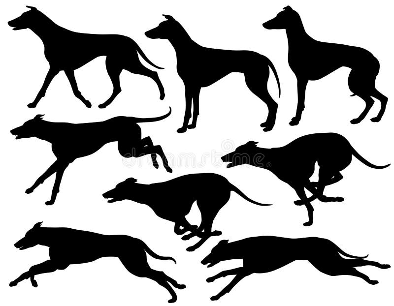 Silhuetas de galgos ilustração do vetor