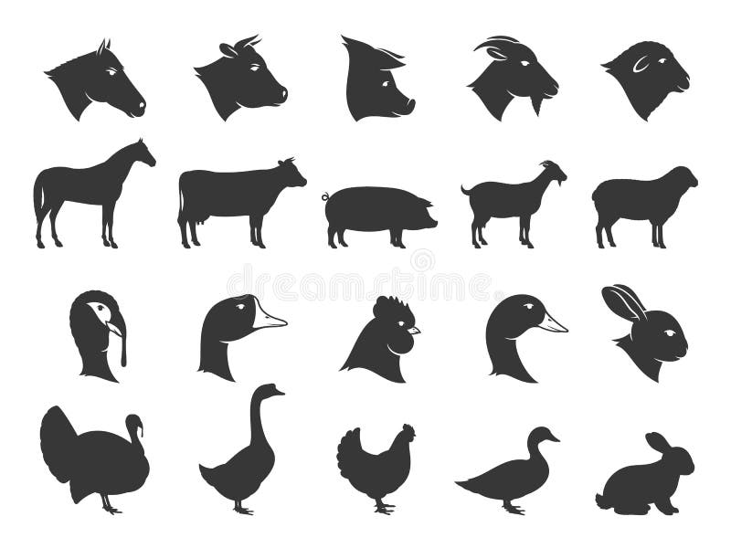 Vector farm animals silhouettes isolated on white. Livestock and poultry icons collection for groceries, meat stores, packaging and advertising. Vector farm animals silhouettes isolated on white. Livestock and poultry icons collection for groceries, meat stores, packaging and advertising.