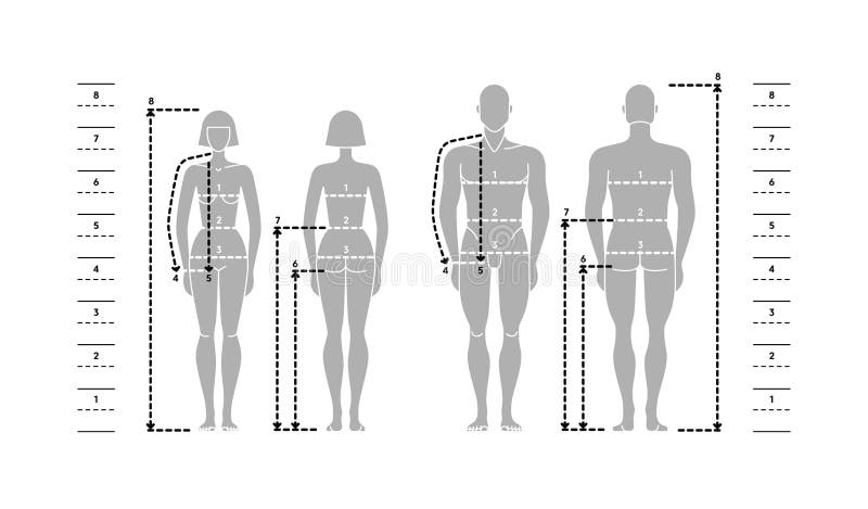 Royalty Jeans Size Chart