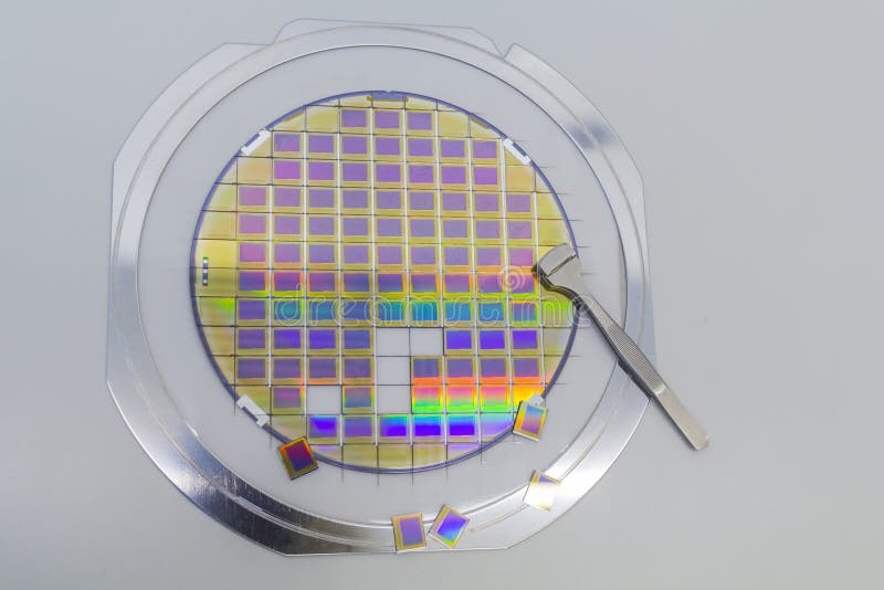 Silikonr? n med mikrochipers som fixas i en h? llare med en st? lram p? en gr? bakgrund efter processen av att t? rna microchip arkivfoto