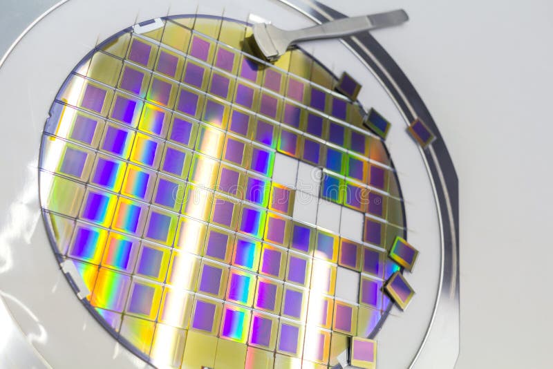 Silikonr? n med mikrochipers som fixas i en h? llare med en st? lram p? en gr? bakgrund efter processen av att t? rna microchip fotografering för bildbyråer