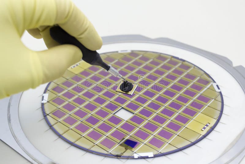 Silikonr? n med mikrochipers som fixas i en h? llare med en st? lram p? en gr? bakgrund efter processen av att t? rna microchip royaltyfria foton
