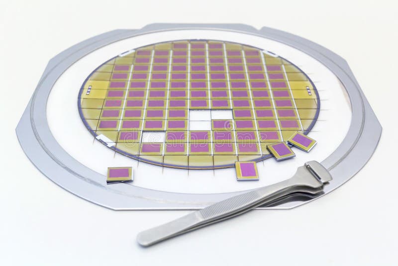 Silikonrån med mikrochipers som fixas i en hållare med en stålram på en grå bakgrund efter processen av att tärna microchip arkivbilder