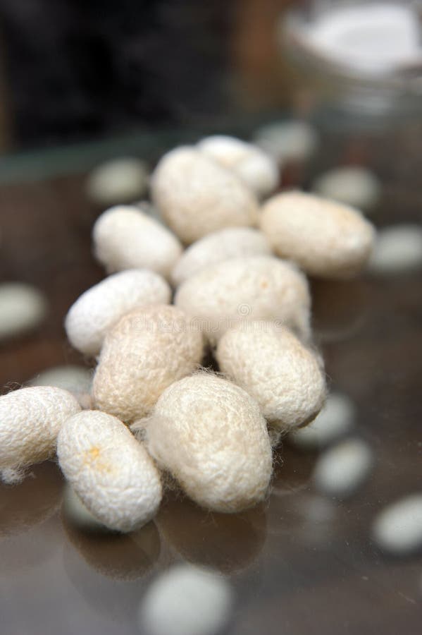 download silk cocoon download silk cocoon