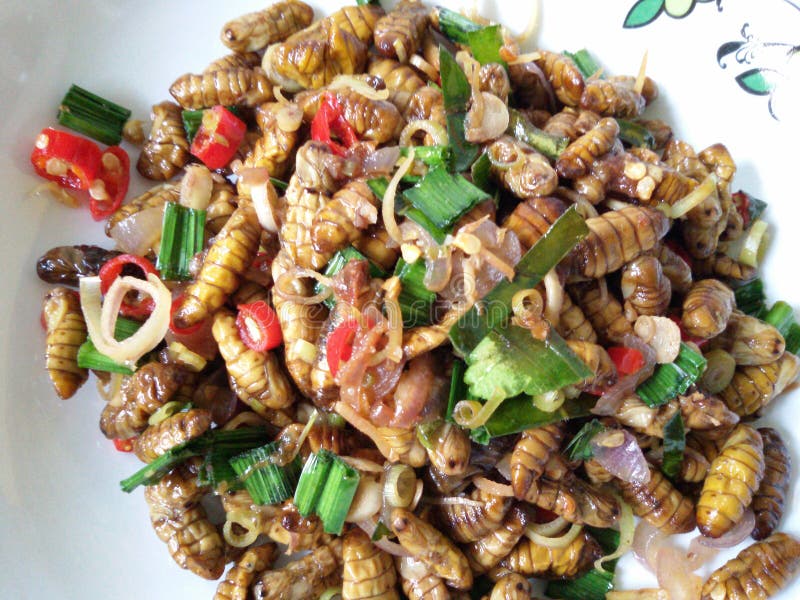 Silkworm food stock photo. Image of fried, food, herb 60919480