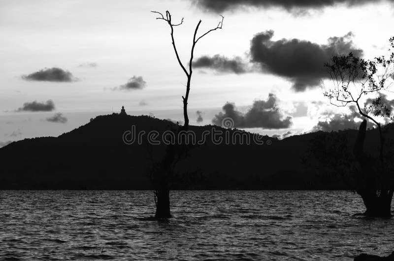 Sillohuette shadow buddha image,tree and mountain stock image