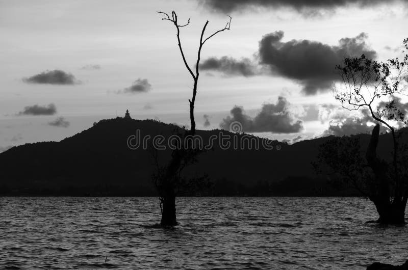 Sillohuette shadow buddha image,tree and mountain stock photo