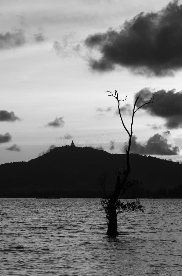 Sillohuette shadow buddha image,tree and mountain royalty free stock image