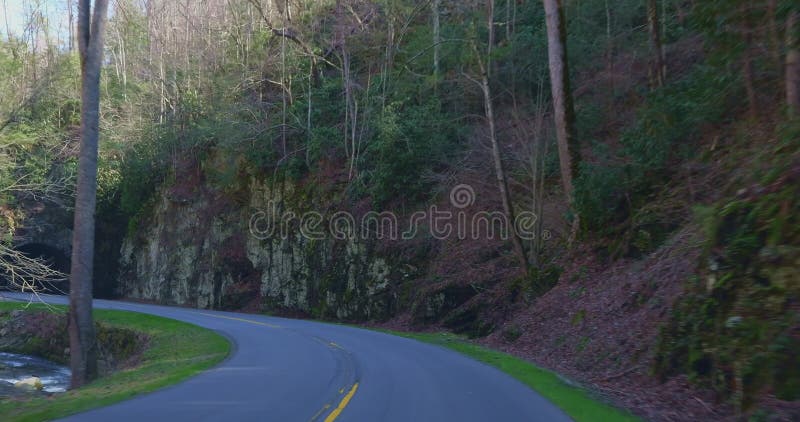 Sillonner une route de montagne pavée à travers la forêt et un tunnel banque de vidéos