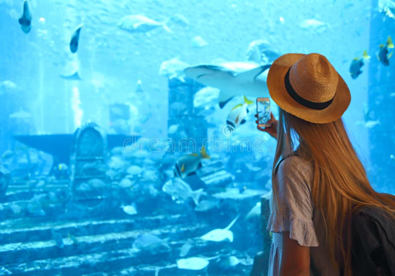 Sillouette of the woman taking picture in large aquarium royalty free stock photo Sillouette of the woman taking picture in large aquarium royalty free stock photo