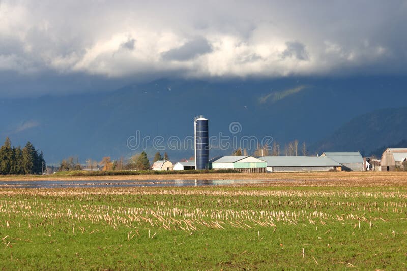 Silo et nuages de tempête foncés et sinistres photographie stock libre de droits Silo et nuages de tempête foncés et sinistres photographie stock libre de droits