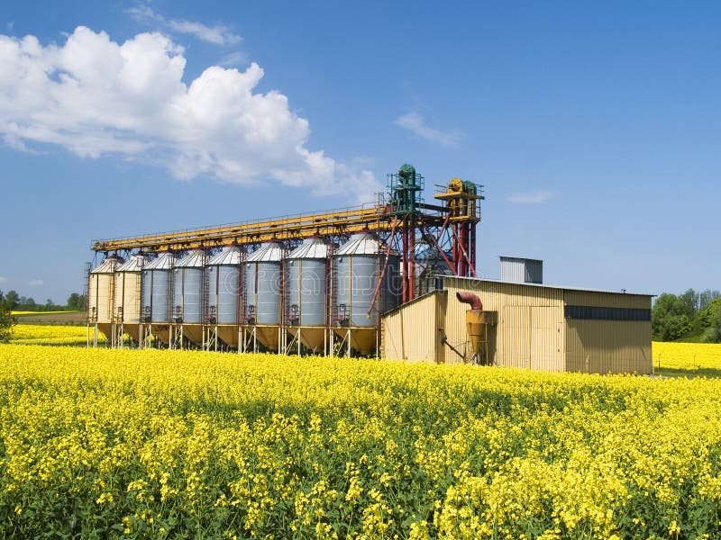 A row of grain silos surrounded by fields of