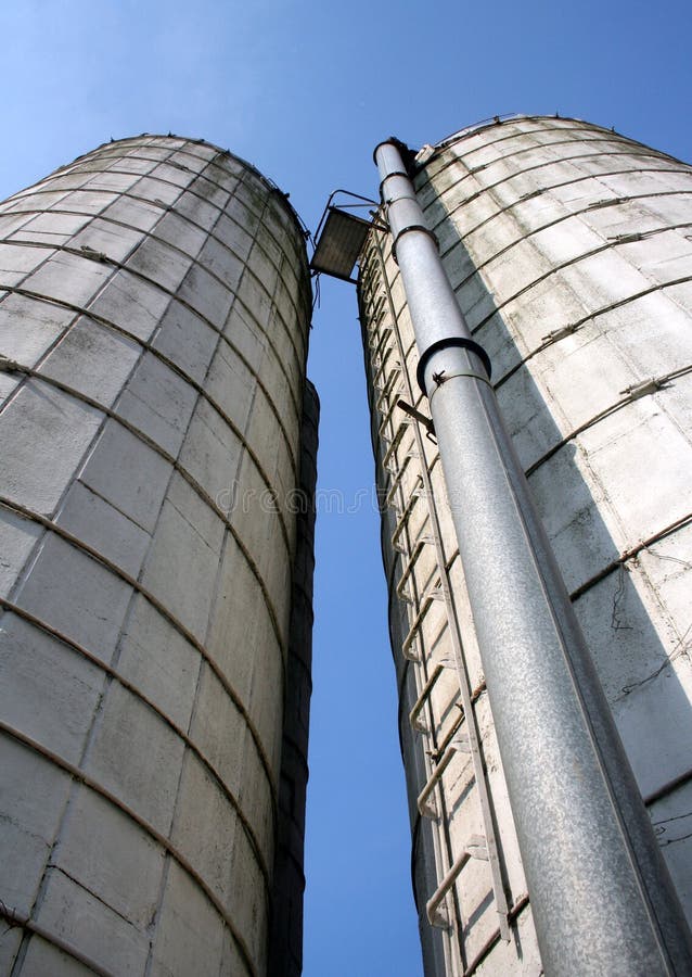 Concrete silos and ladder on farm