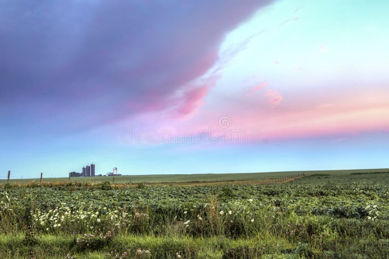 Farm silos stand on the horizon beneath a colorful early morning sky. Farm silos stand on the horizon beneath a colorful early morning sky.