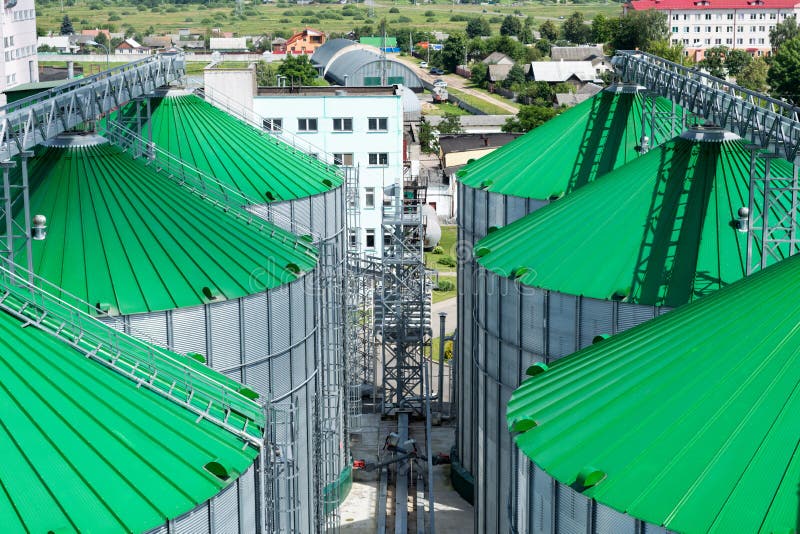 Warehouse for Corn Feed for Animals. Stock Photo Image of farm, flake