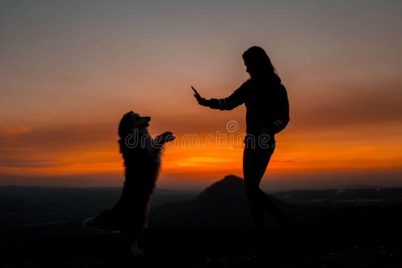 Silueta de la mujer joven con su perro que hace truco en el amanecer con la montaña en fondo imagenes de archivo Silueta de la mujer joven con su perro que hace truco en el amanecer con la montaña en fondo imagenes de archivo