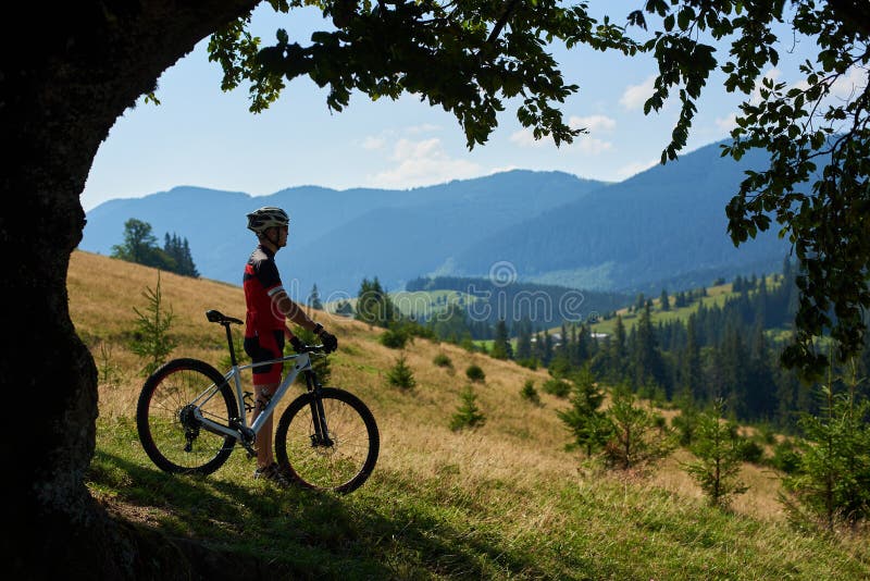 Silueta de la situación profesional del ciclista del deportista con la bicicleta en la colina herbosa cerca del árbol grande imagen de archivo libre de regalías Silueta de la situación profesional del ciclista del deportista con la bicicleta en la colina herbosa cerca del árbol grande imagen de archivo libre de regalías