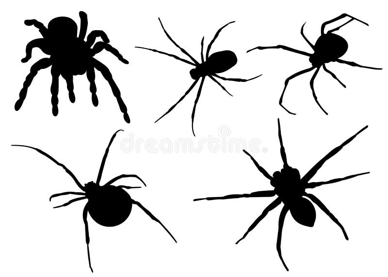 Silueta de las arañas ilustración del vector Silueta de las arañas ilustración del vector