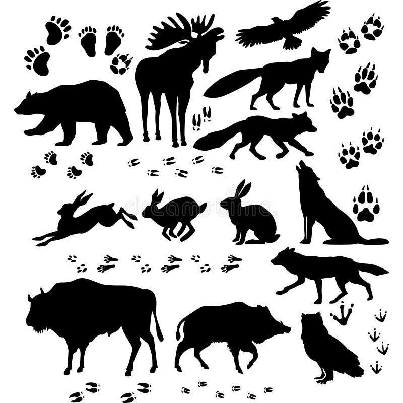 Silueta de los animales salvajes y de los pájaros ilustración del vector Silueta de los animales salvajes y de los pájaros ilustración del vector