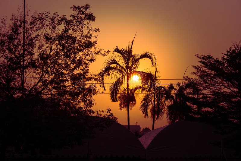 Silueta de los árboles de coco y de otros árboles con salida del sol en el fondo en la mañana fotografía de archivo Silueta de los árboles de coco y de otros árboles con salida del sol en el fondo en la mañana fotografía de archivo