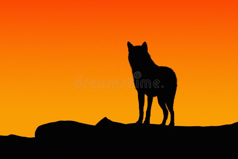 Silueta de un lobo fotografía de archivo Silueta de un lobo fotografía de archivo