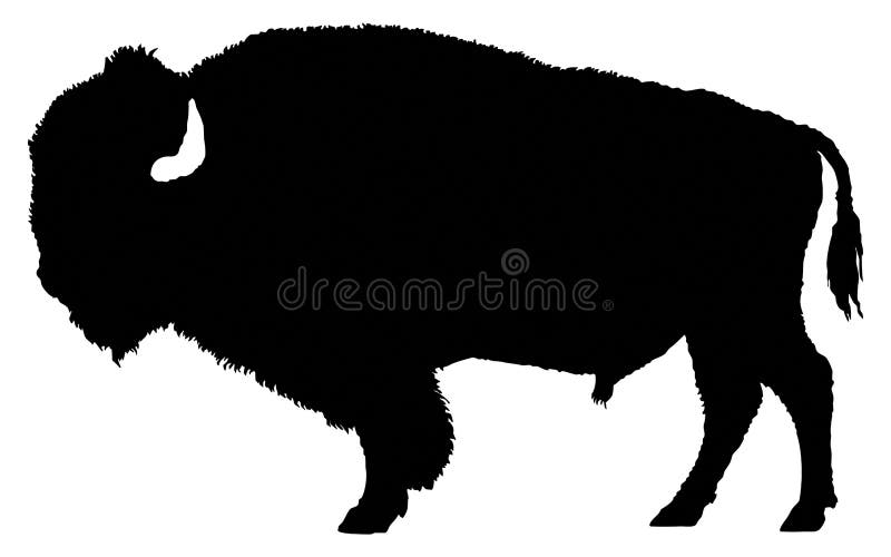 Silueta del bisonte americano libre illustration Silueta del bisonte americano libre illustration